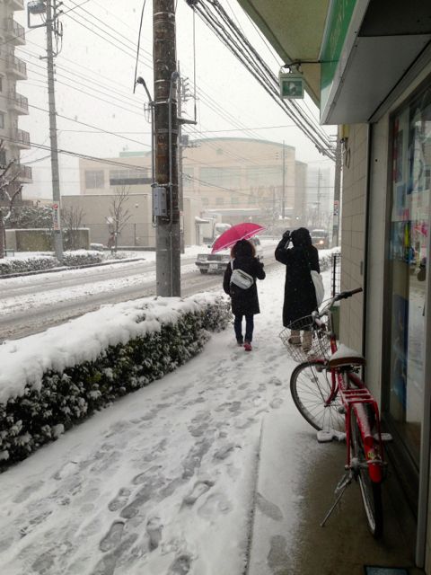 雪の日にはキズナを【テニスショップ通販店長のブログ＠テニスショップLAFINO 西山克久】