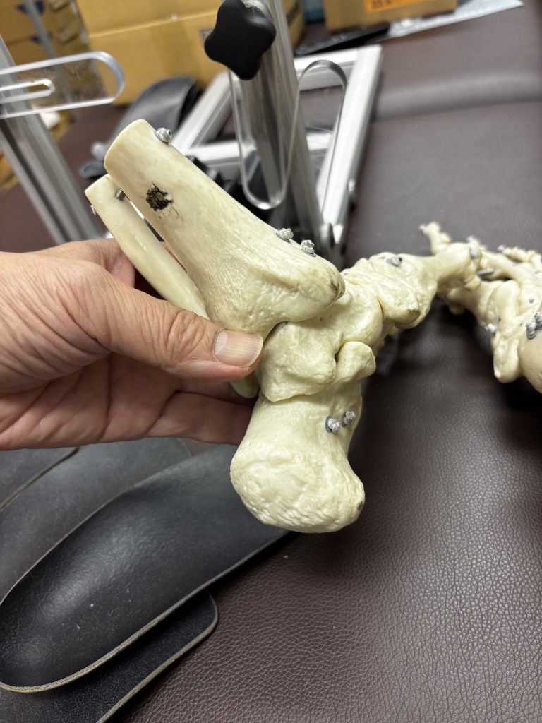 オムニでもオールコートを履く理由【テニスショップ通販店長のブログ＠テニスショップLAFINO 西山克久】